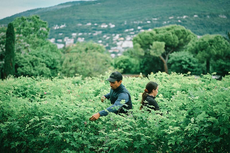 Onitsuka Tiger, Perfumes, Fragrance, Eau de Parfum, Japanese Fashion