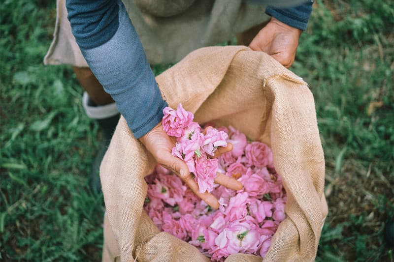 Onitsuka Tiger, Perfumes, Fragrance, Eau de Parfum, Japanese Fashion