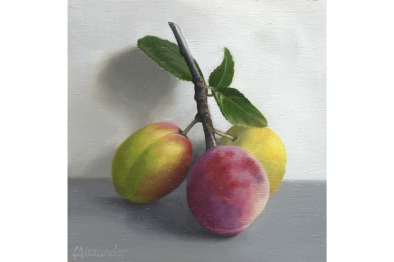 artists, women, international womens day, auction, paintings, artwork, art on a postcard, fundraiser