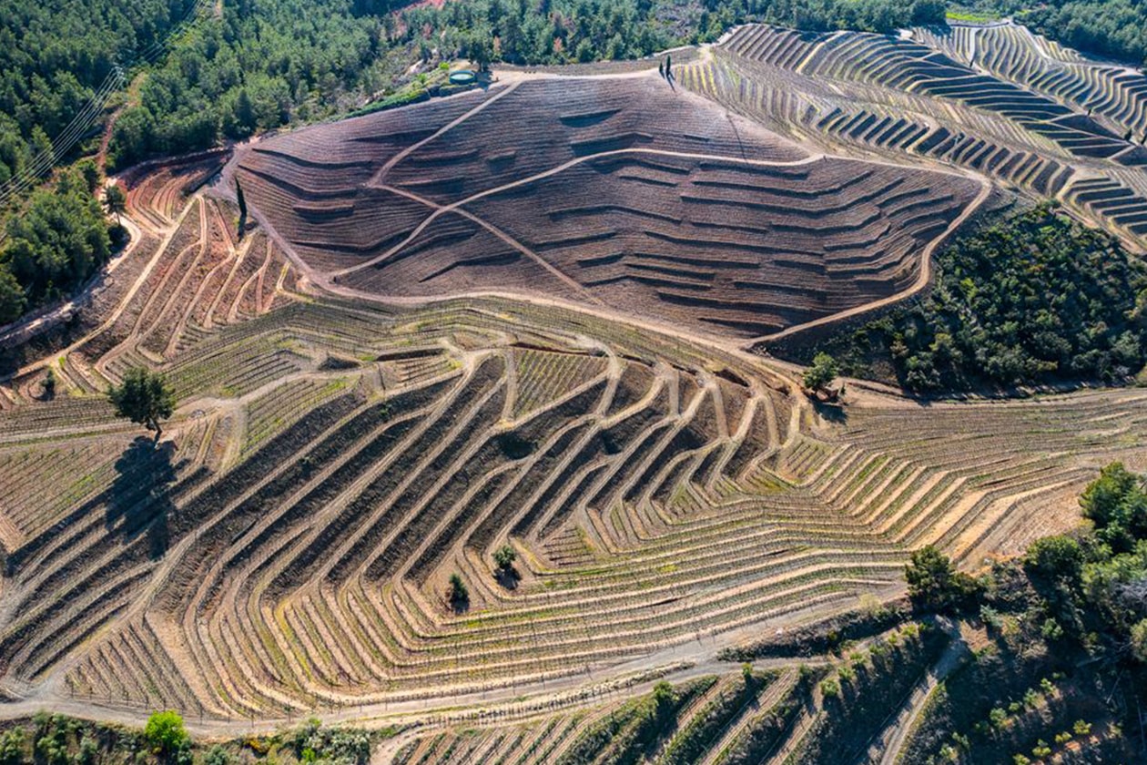 Berikut Daftar Pemenang Earth Photo 2021