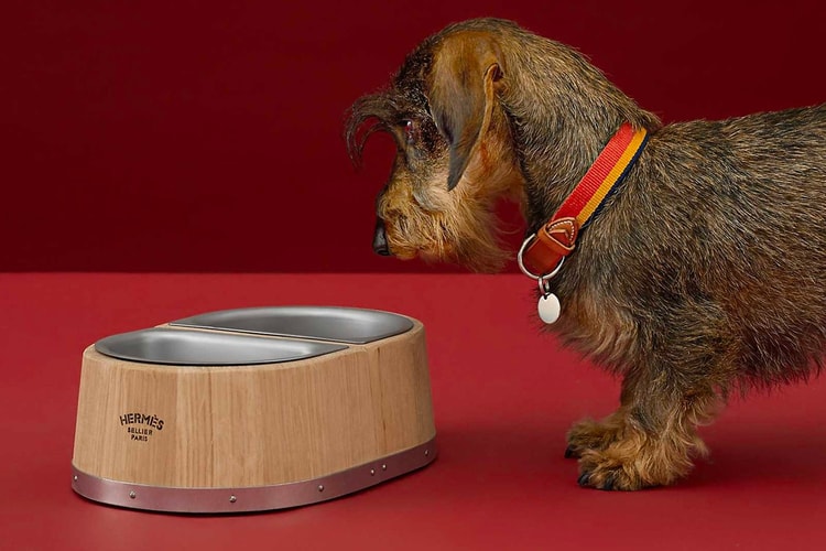 Manjakan Temanmu yang Paling Setia dengan Dog Bowl dari Hermès