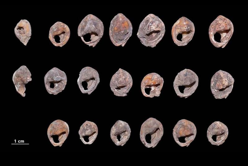 Arkeolog Temukan Artefak yang Diyakini Sebagai Jewellery Tertua di Dunia