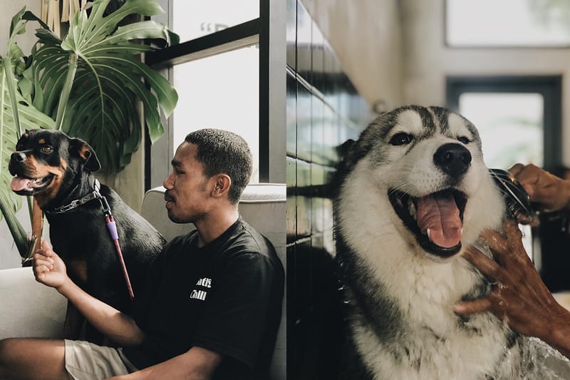 Dog Saloon Asal Bali, SOORI, Tawarkan Konsep Fresh lewat Service dan Studionya