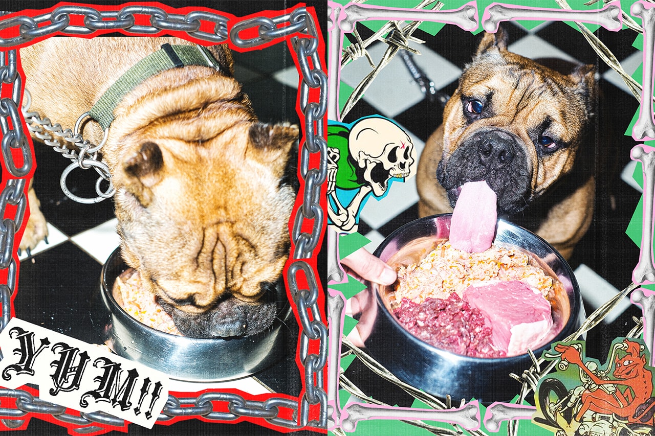 Lazy Dog Luncurkan Pet Food yang Terbuat dari Daging, Buah, dan Sayuran Alami