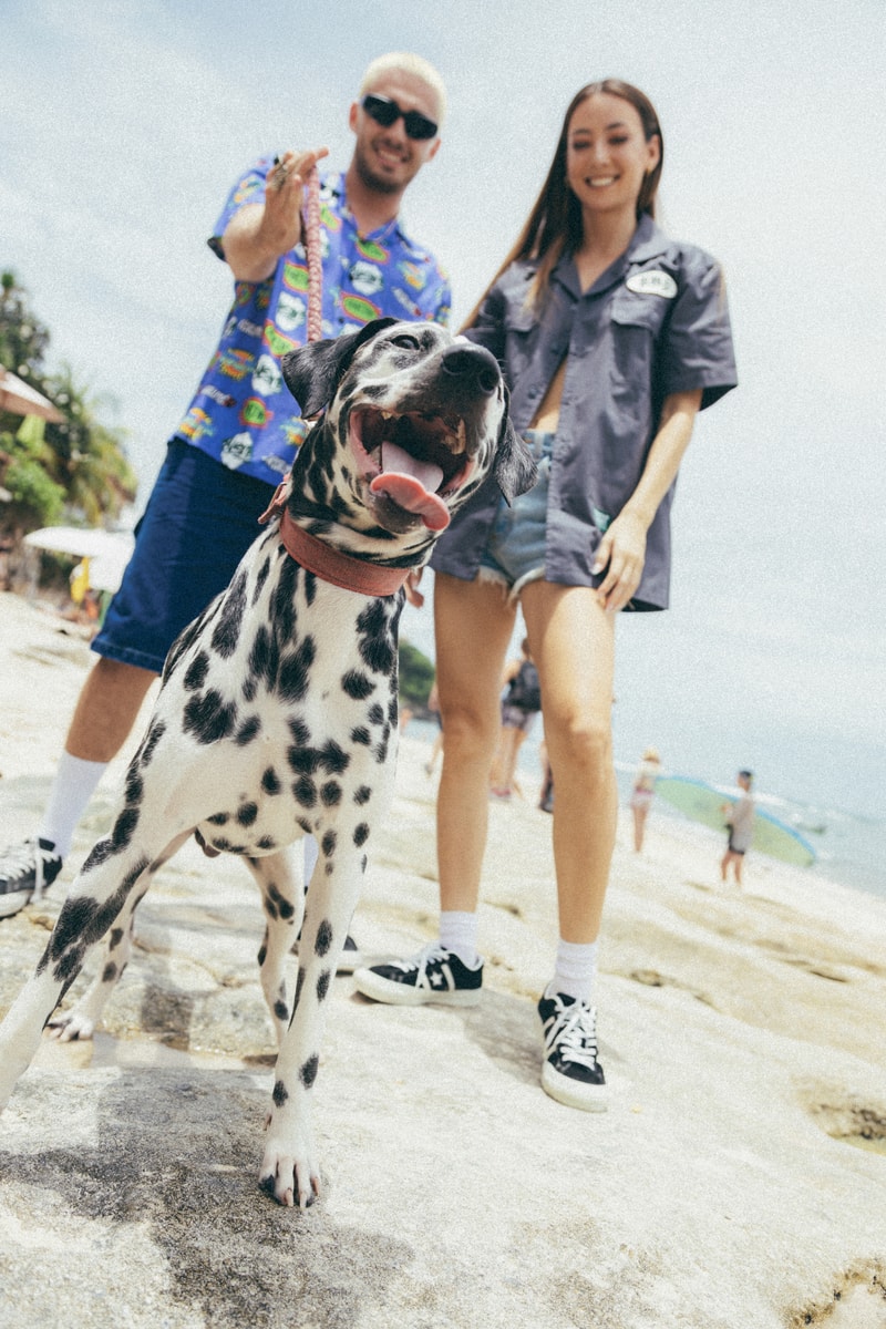 Berikut Sneak Peek dari Pot Meets Pop x Sublime Collection