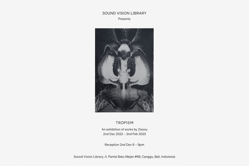 Seniman Kontemporer asal Inggris, Zissou Gelar Exhibition “Tropism” di Sound Vision Library