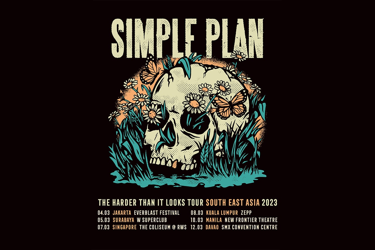 simple plan tour indonesia