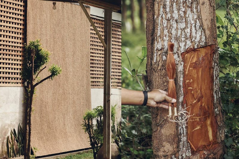 LEMAIRE Buat Campaign Bareng Fotografer Indonesia