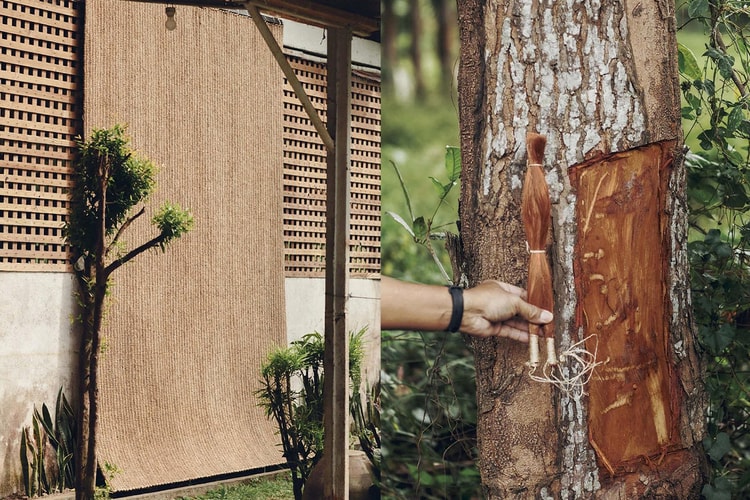 LEMAIRE Buat Campaign Bareng Fotografer Indonesia