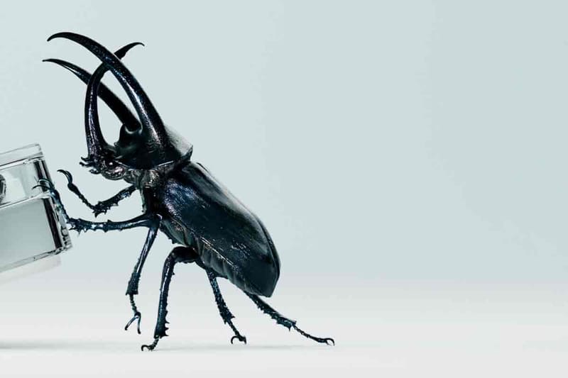 Nothing Luncurkan Teaser ear (2)