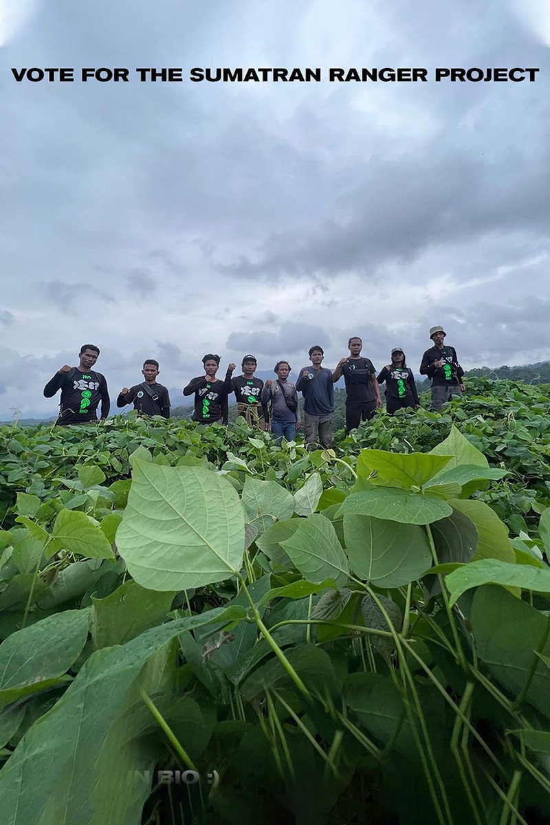 Sumatran Ranger Project Masuk Nominasi EOCA