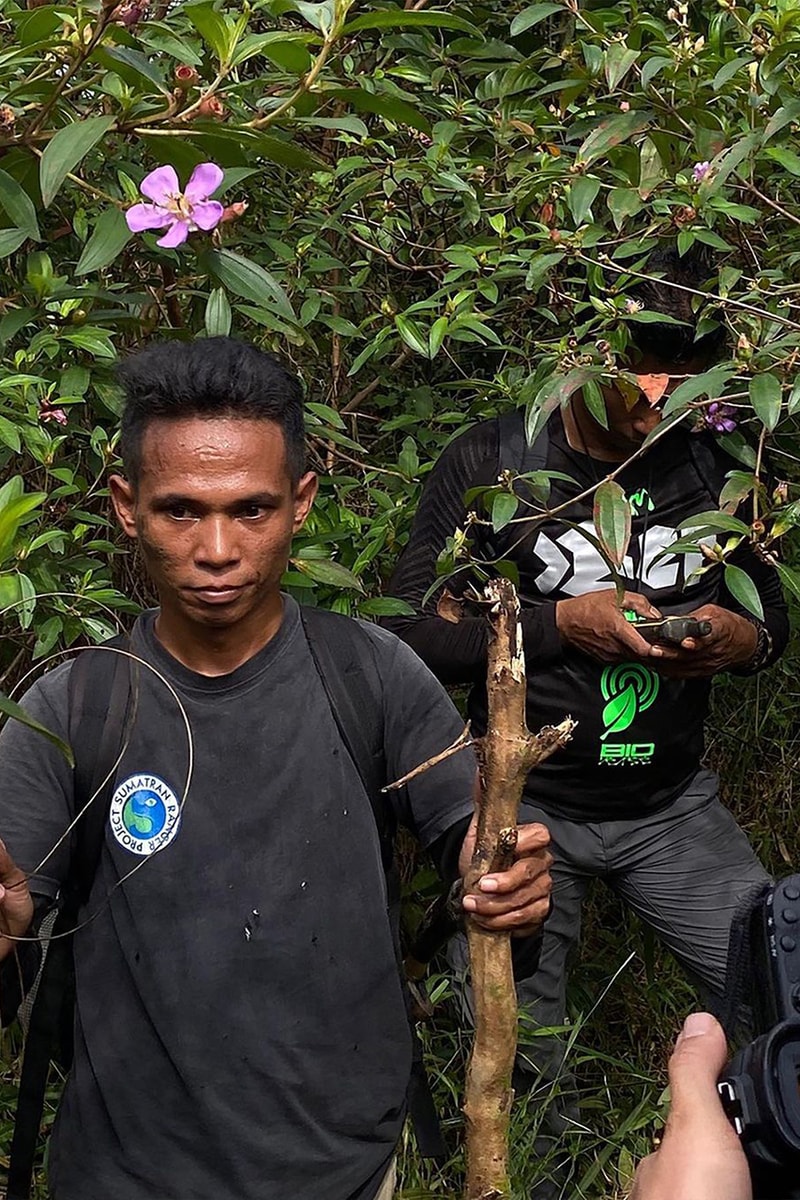 Sumatran Ranger Project Masuk Nominasi EOCA