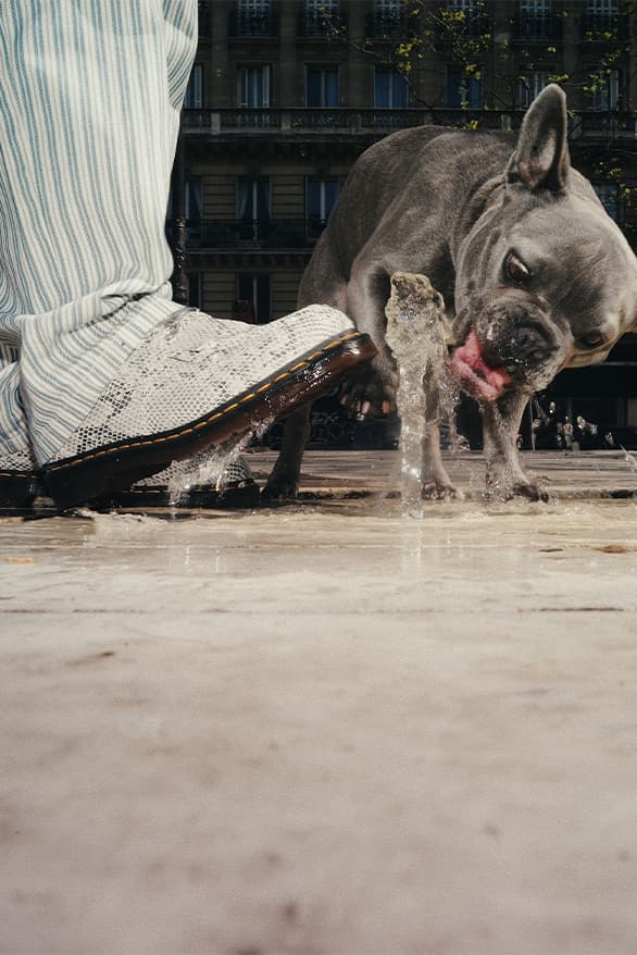 Jyrell Tampil Dalam Campaign Dr. Martens untuk Koleksi “Python Pack”