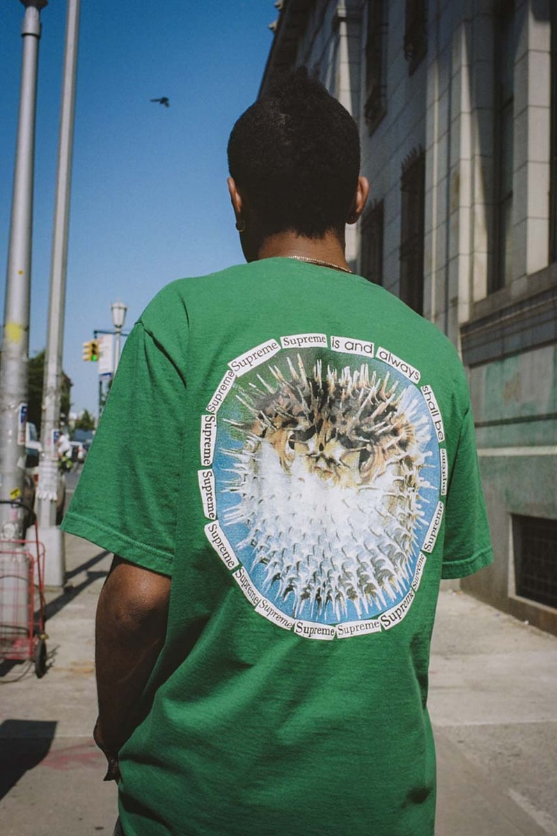 Supreme Drop T-shirt Summer Series 2023