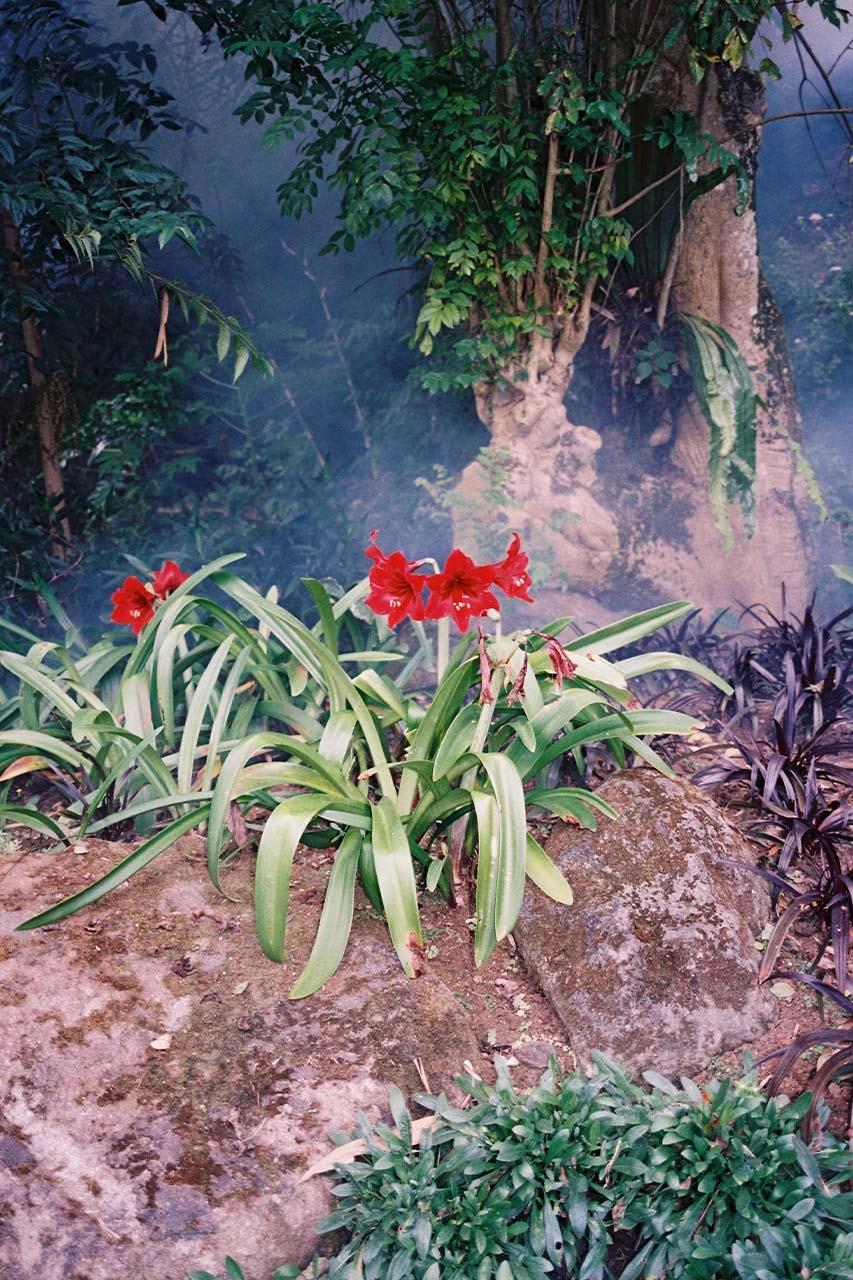 Through The Lens: Aldiansyah Waluyo