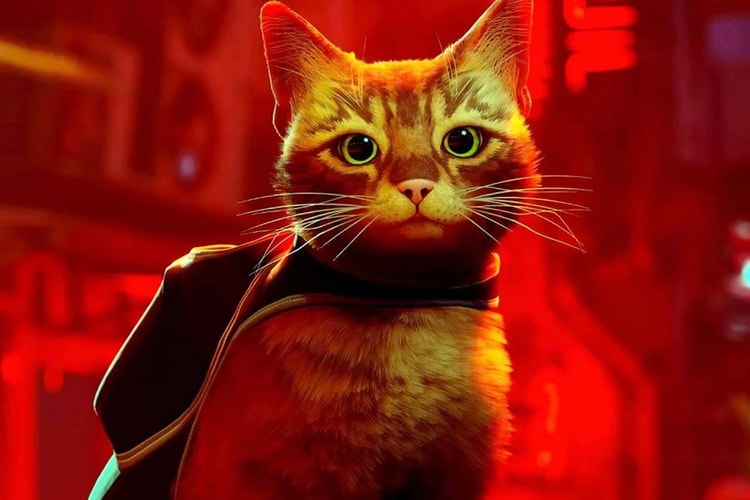 Game ‘Stray’ Bakalan Diadaptasi Jadi Film Animasi