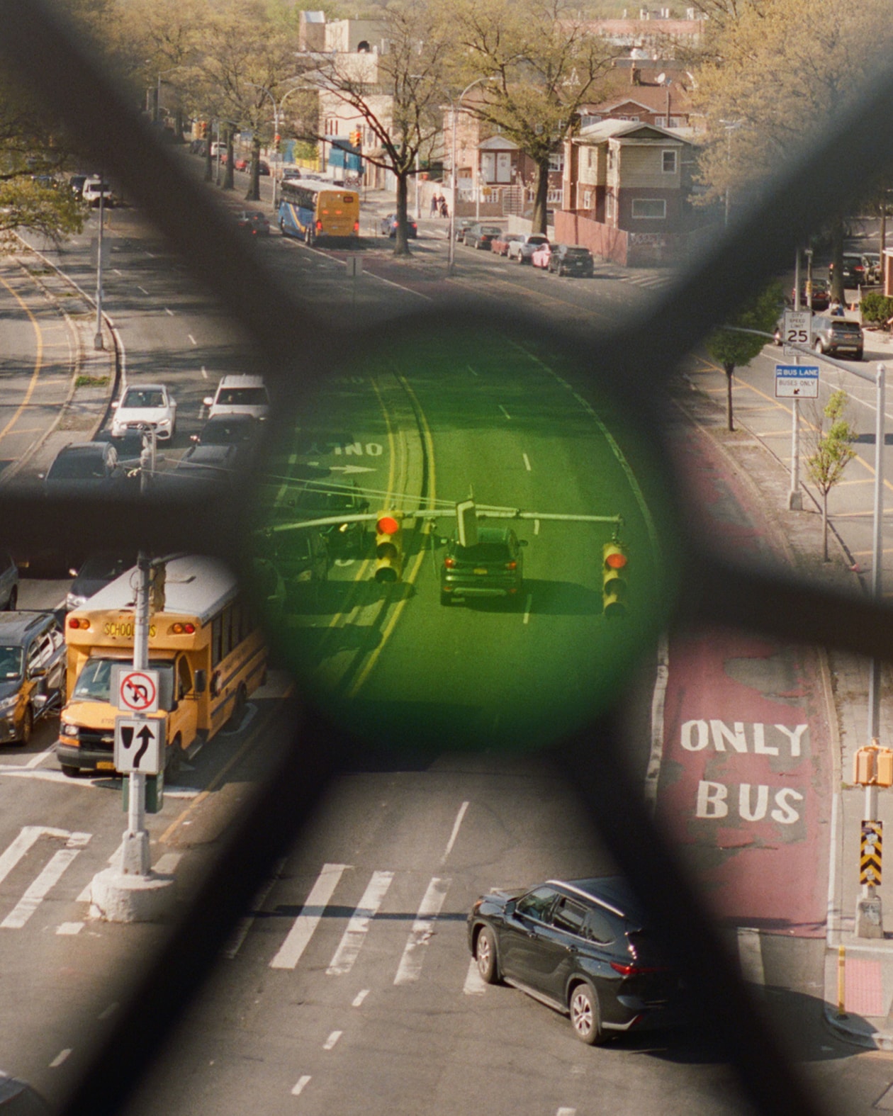 Through The Lens: Thomas Sito