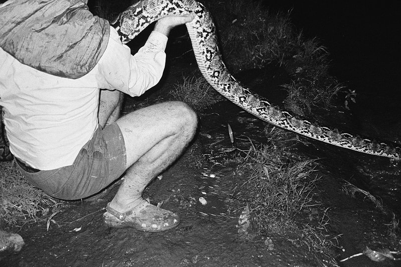 Snakes and Surf Breaks: Ngejar Cobra, Nemu Diri Sendiri