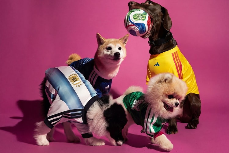 Free Agent Paling Panas Berkaki Empat: adidas Rilis Koleksi Pet Piala Dunia 2026 untuk Ultras Berbulu
