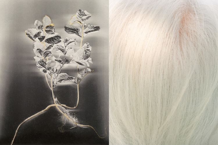 Pameran Fotografi Tertua di Dunia Kembali ke Saatchi Gallery London