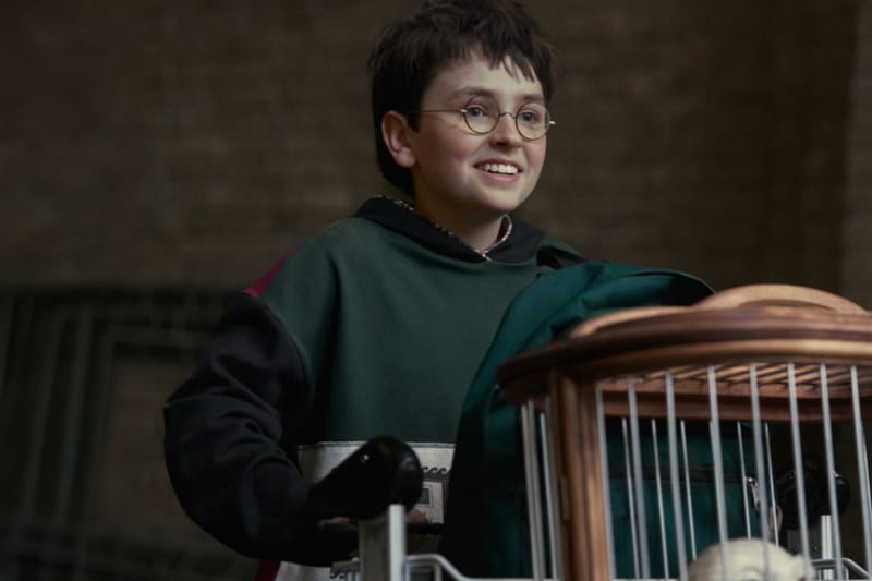 HBO rinnova la serie "Harry Potter" per la Stagione 2: arriva "La camera dei segreti"