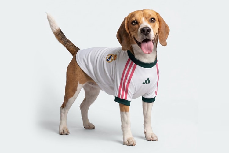 adidas Originals lancia le maglie da calcio UEFA Champions League per cani