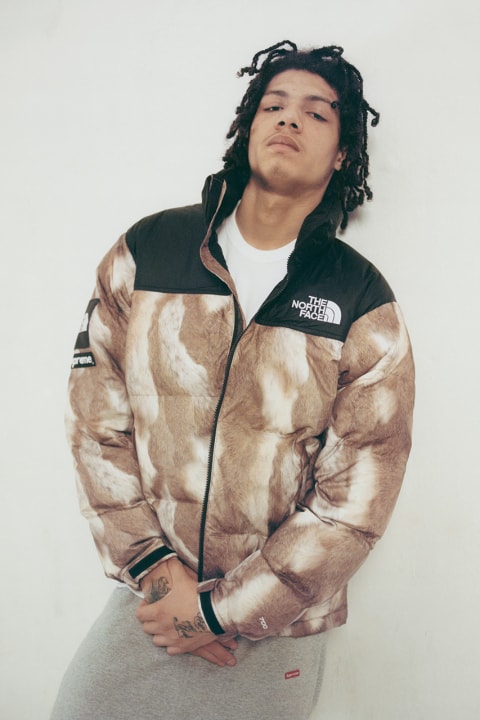 Supreme x THE NORTH FACE ラグジュアリーなファーを転写プリントしたコラボダウン
