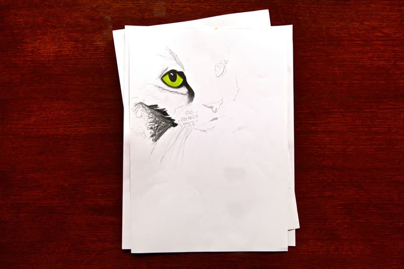 Red Bull Curates Protege／HYPEBEAST Presents Pen & Paper: Karolina Wojcik