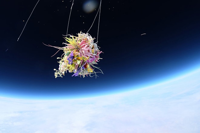 「東 信」宇宙空間でのフラワーインスタレーション “地球外生命体（EXOBIOTA)- ボタニカル・スペース・フライト”