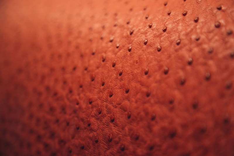 Hermès による展覧会 “Leather Forever” in 香港