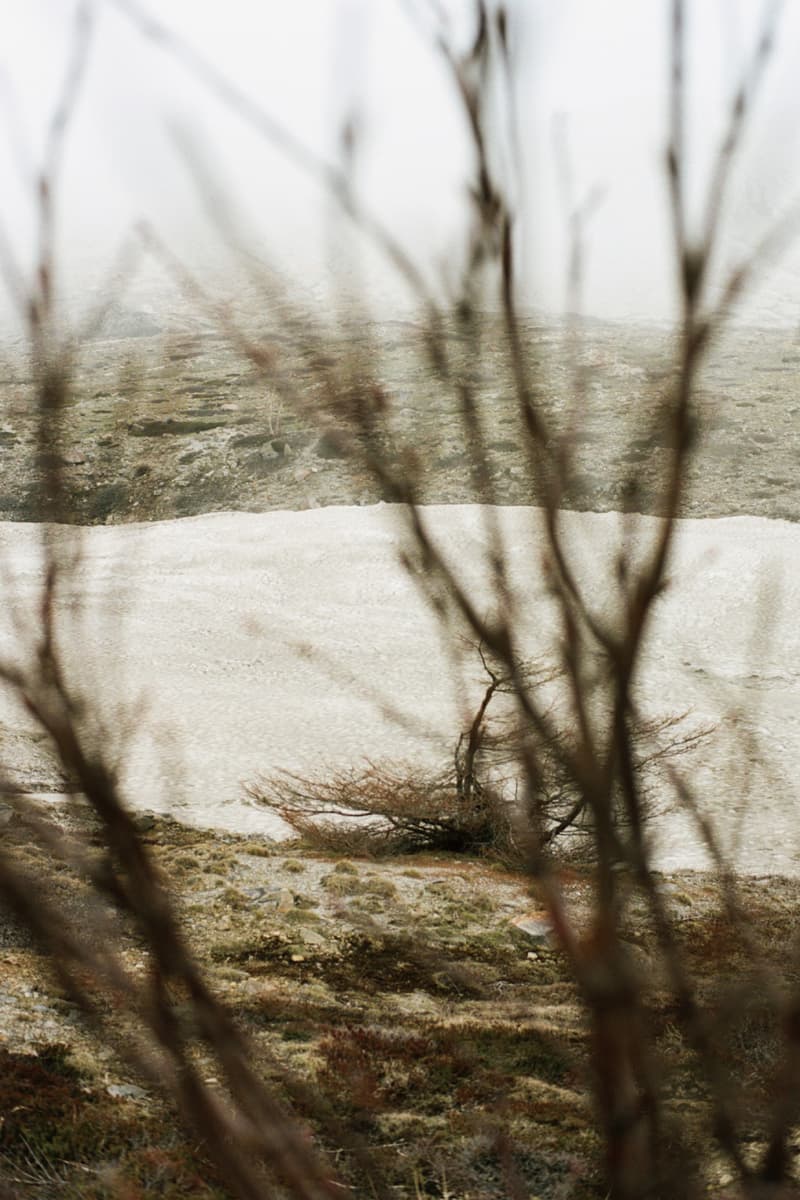 RISEY 2014 Fall/Winter ルックブック