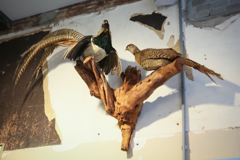 HYPEBEAST Road Trips Amsterdam: デニムを越えた暮らしの中の良きもの “Tenue de Nîmes”