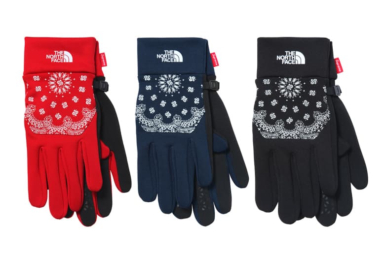 Supreme x The North Face 2014 Fall/Winter コレクション