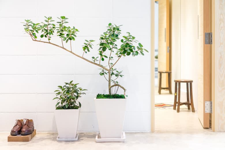 “都会で楽しむ山”をテーマにした nanamica MOUNTAIN 