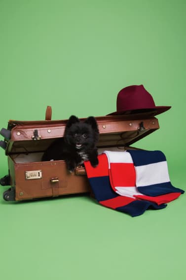 FRANK 2015 Spring ルックブック