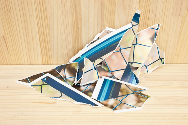 日本人若手写真家6名のフォーカスした展覧会が Ima gallery で開催