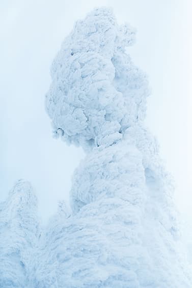 BURTON THIRTEEN 2015 Fall/Winter ルックブック