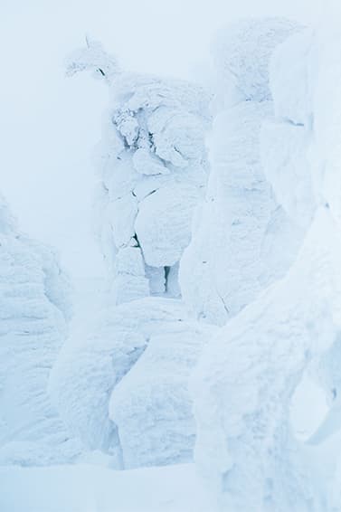 BURTON THIRTEEN 2015 Fall/Winter ルックブック