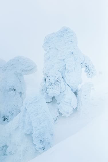 BURTON THIRTEEN 2015 Fall/Winter ルックブック