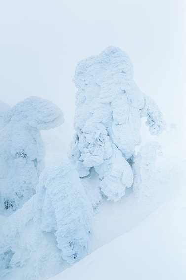 BURTON THIRTEEN 2015 Fall/Winter ルックブック