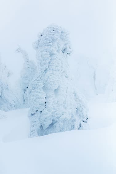 BURTON THIRTEEN 2015 Fall/Winter ルックブック