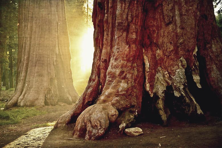 800種類以上のフィルターを搭載する写真加工アプリ「Filters」