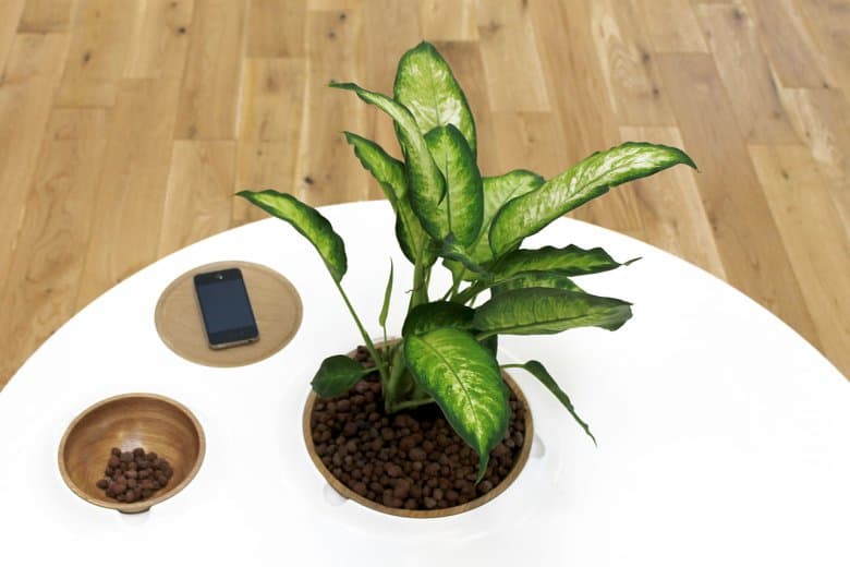 Bem Robinson が手がけるボウル付きのコーヒーテーブル