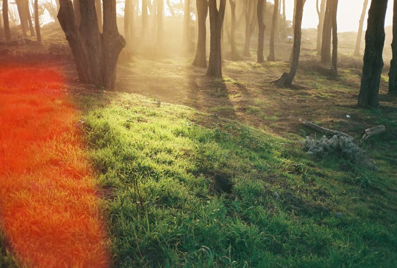 THROUGH THE LENS: Dustin Adams