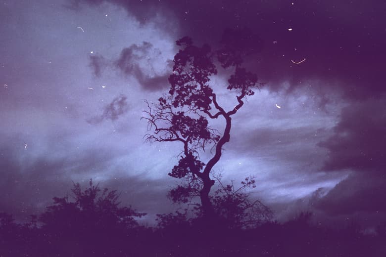 THROUGH THE LENS: Dustin Adams