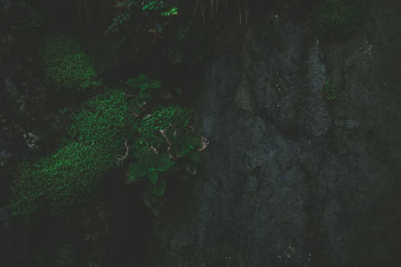 juha 2015 Spring/Summer ルックブック