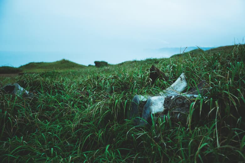 juha 2015 Spring/Summer ルックブック