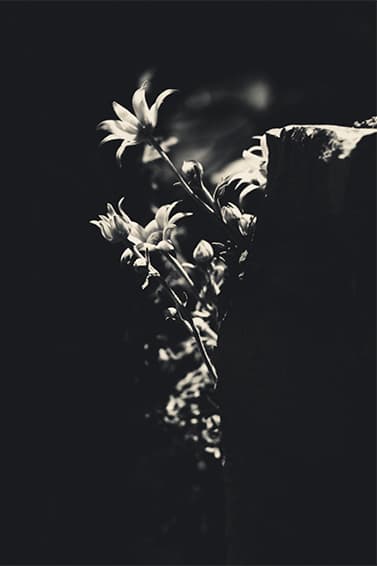 bukht 2015 Fall/Winter ルックブック