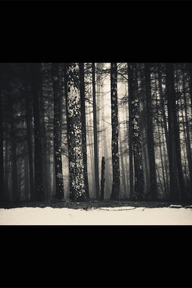 bukht 2015 Fall/Winter ルックブック