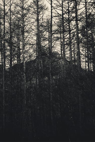 bukht 2015 Fall/Winter ルックブック